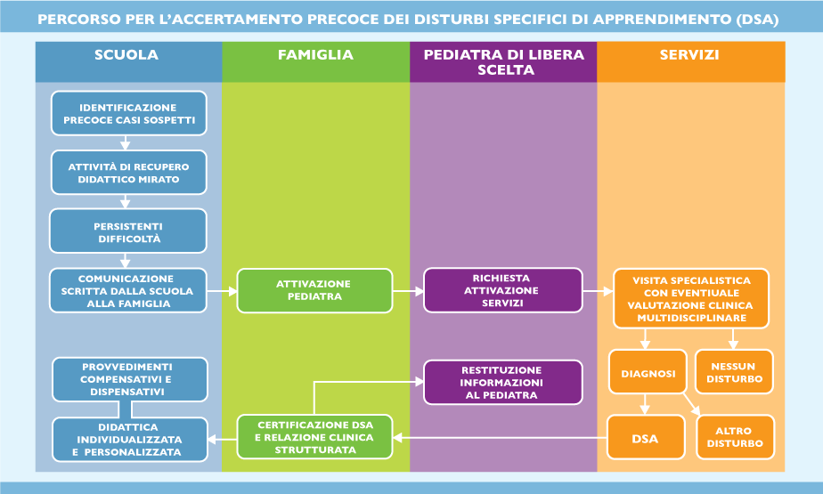 SCUOLA. Gli insegnanti osservano gli alunni e attivavano in caso di difficoltà gli interventi di potenziamento didattico-educativi e di recupero. Quando le difficoltà permangono nel tempo la scuola contatta la famiglia, descrive le abilità scolastiche dell’alunno/a e consiglia alla famiglia di rivolgersi al pediatra per una valutazione DSA. FAMIGLIA La famiglia condivide con il pediatra quanto riferito dalla scuola PEDIATRA Esaminata con la famiglia la situazione, il pediatra invia la famiglia ai servizi competenti per la valutazione DSA. SERVIZI PER LA CERTIFICAZIONE DSA La Certificazione di DSA viene rilasciata esclusivamente dai servizi età evolutiva delle ASL, dai centri di secondo livello: Aziende Ospedaliere (AO) Aziende Ospedaliere Universitarie (AOU) e dagli Istituti di Ricovero e Cura a Carattere Scientifico (IRCSS) e dai privati autorizzati ai sensi della DGR 32/2020. FAMIGLIA La famiglia comunicherà al pediatra l’esito della valutazione SCUOLA La famiglia consegnerà la certificazione alla scuola che dovrà protocollarla in ingresso. La scuola redigerà il Piano Didattico Personalizzato (PDP). Il piano didattico sarà costantemente monitorato per verificare l’efficacia delle misure adottate.